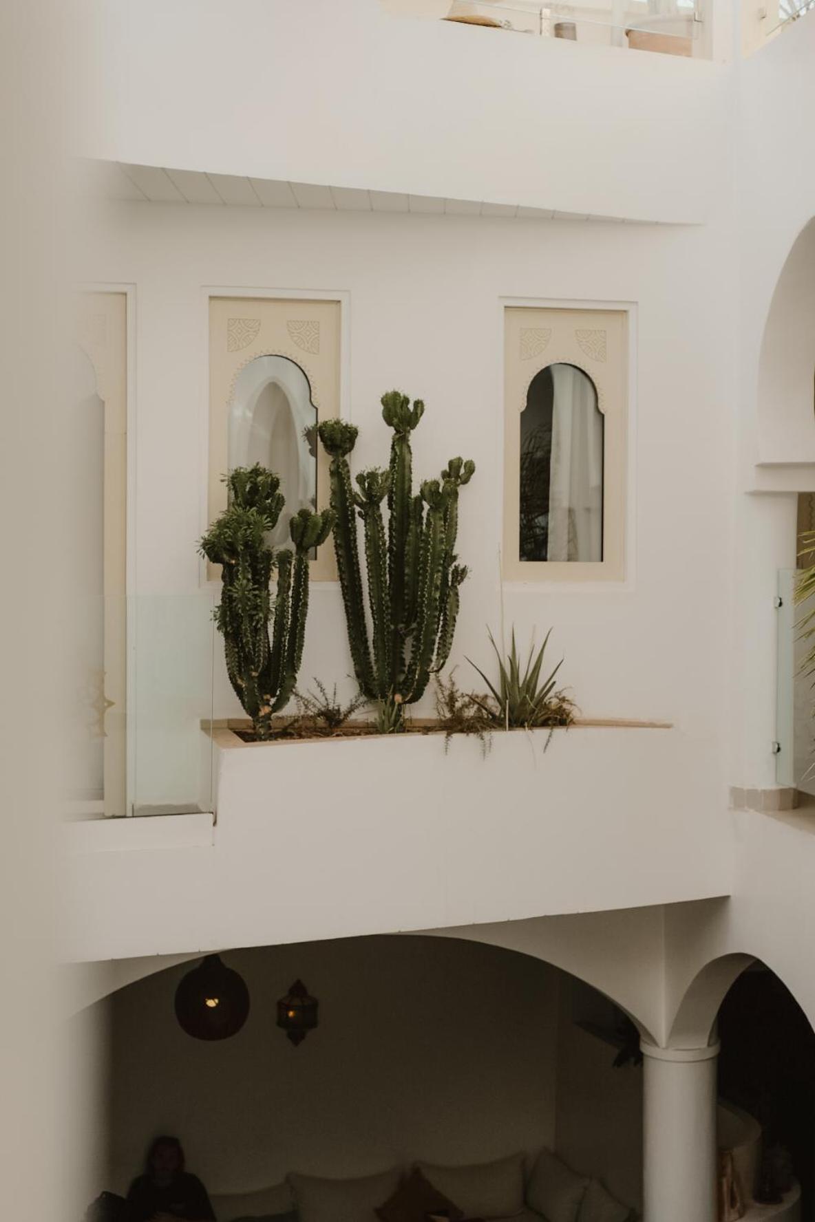 Dar Blanche & Riad Marrakesh